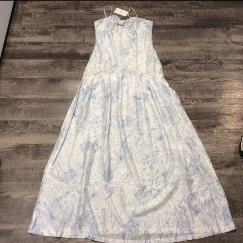 Anthropologie Light Blue and White Floral Maxi Dress